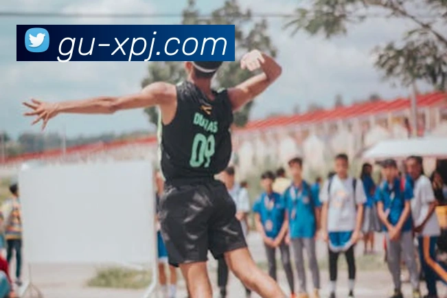 新葡京娱乐平台生态图