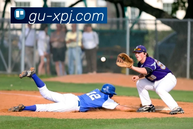 新葡京娱乐APP 封面图